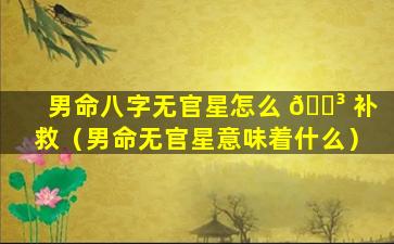男命八字无官星怎么 🐳 补救（男命无官星意味着什么）